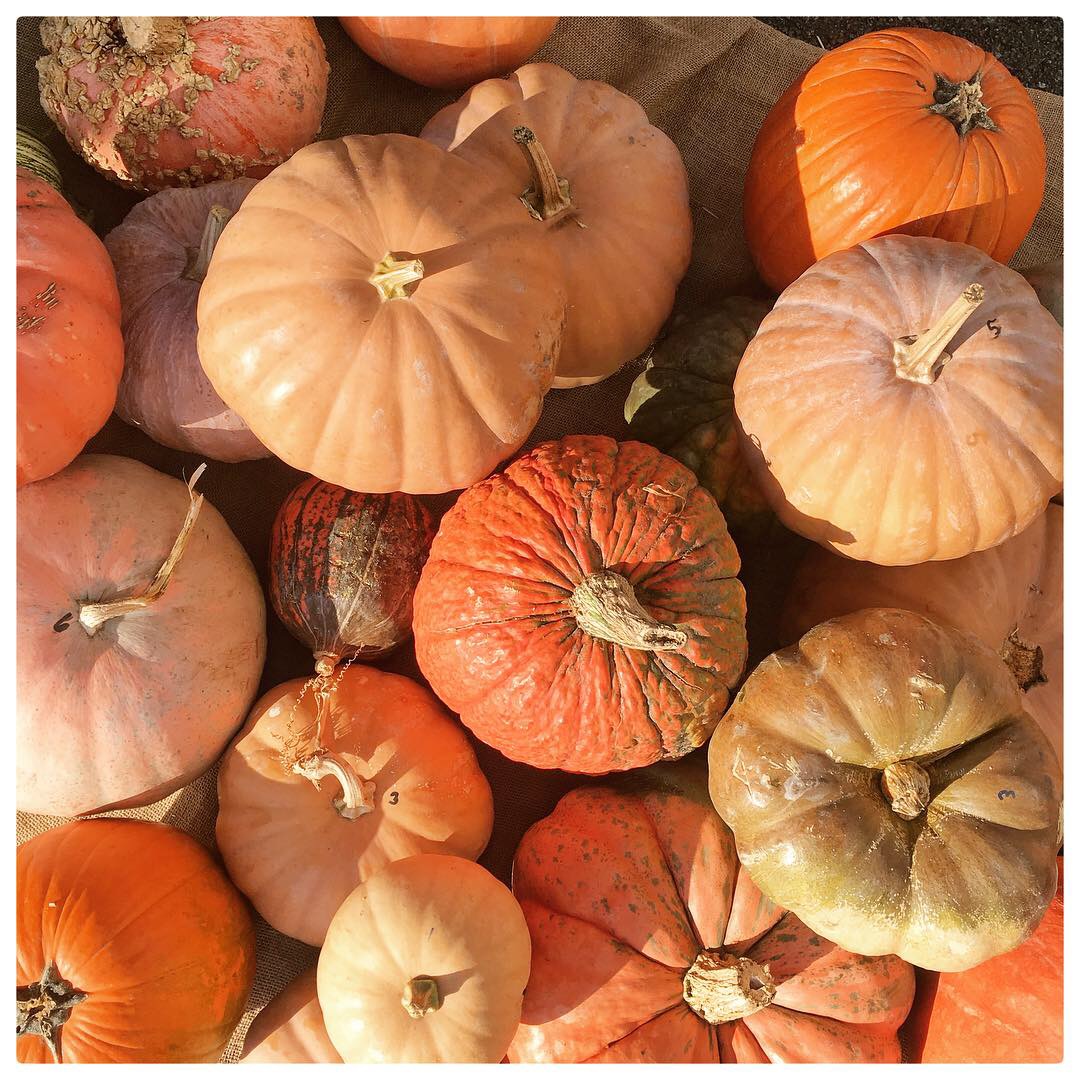 D2172BDC-87CB-42A4-AD7D-E0165DE5CC8A