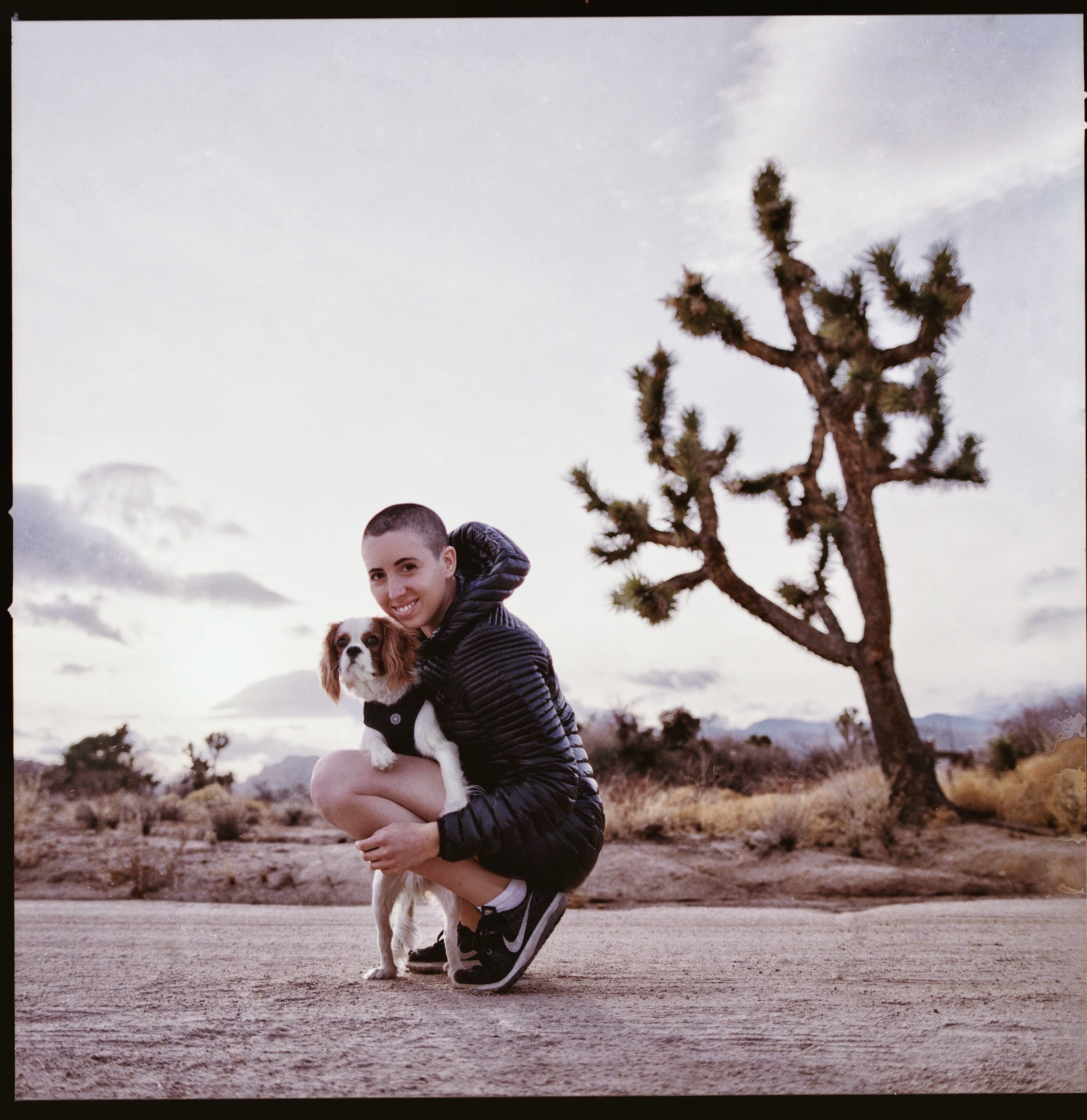 {01/6/18} Palm Springs 📷🎞 shot on Hasselblad 500c/m with Fuji Pro 400H