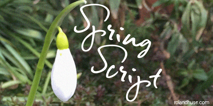 Spring Script Font