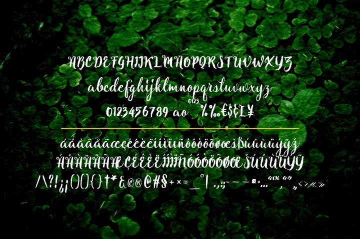 Natural Script Font