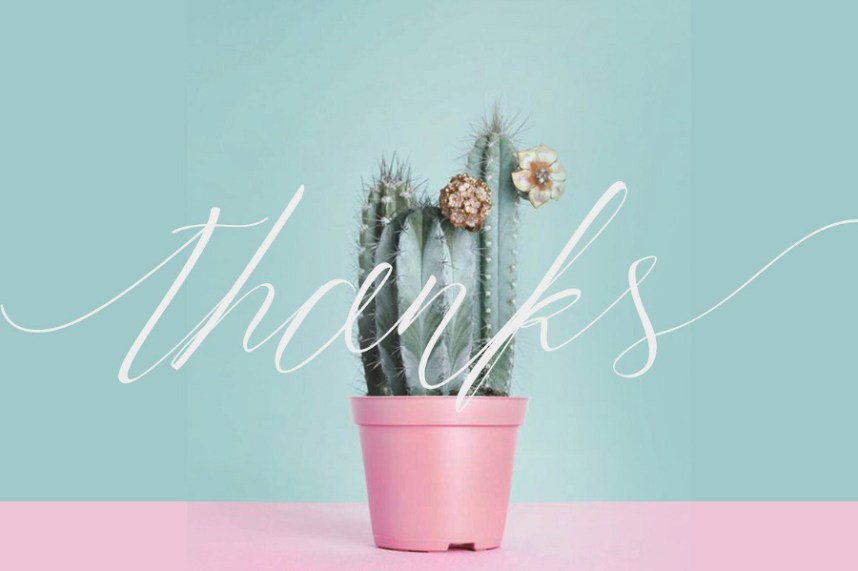 Trendencia Script Font