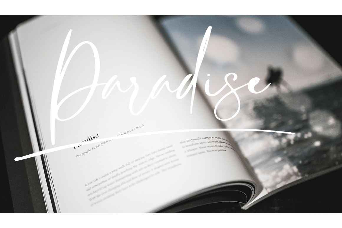 Rasty King Script Font preview image 2