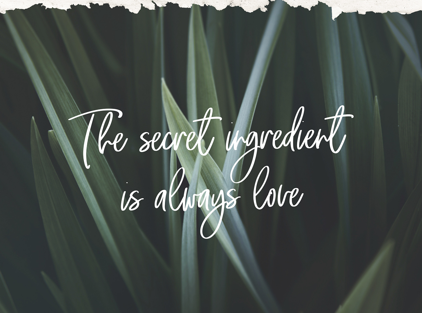 The Secret Script Font preview image 2