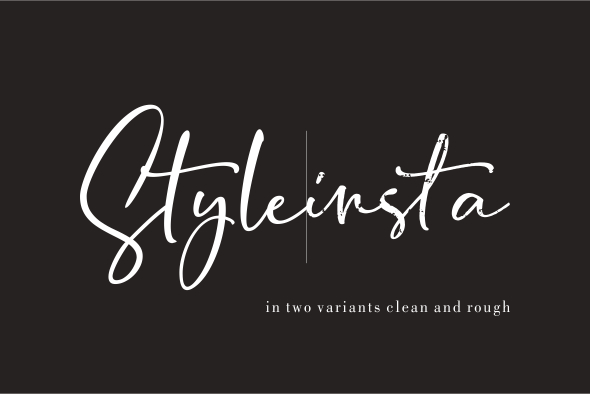 BondiSans Script Font preview image 2