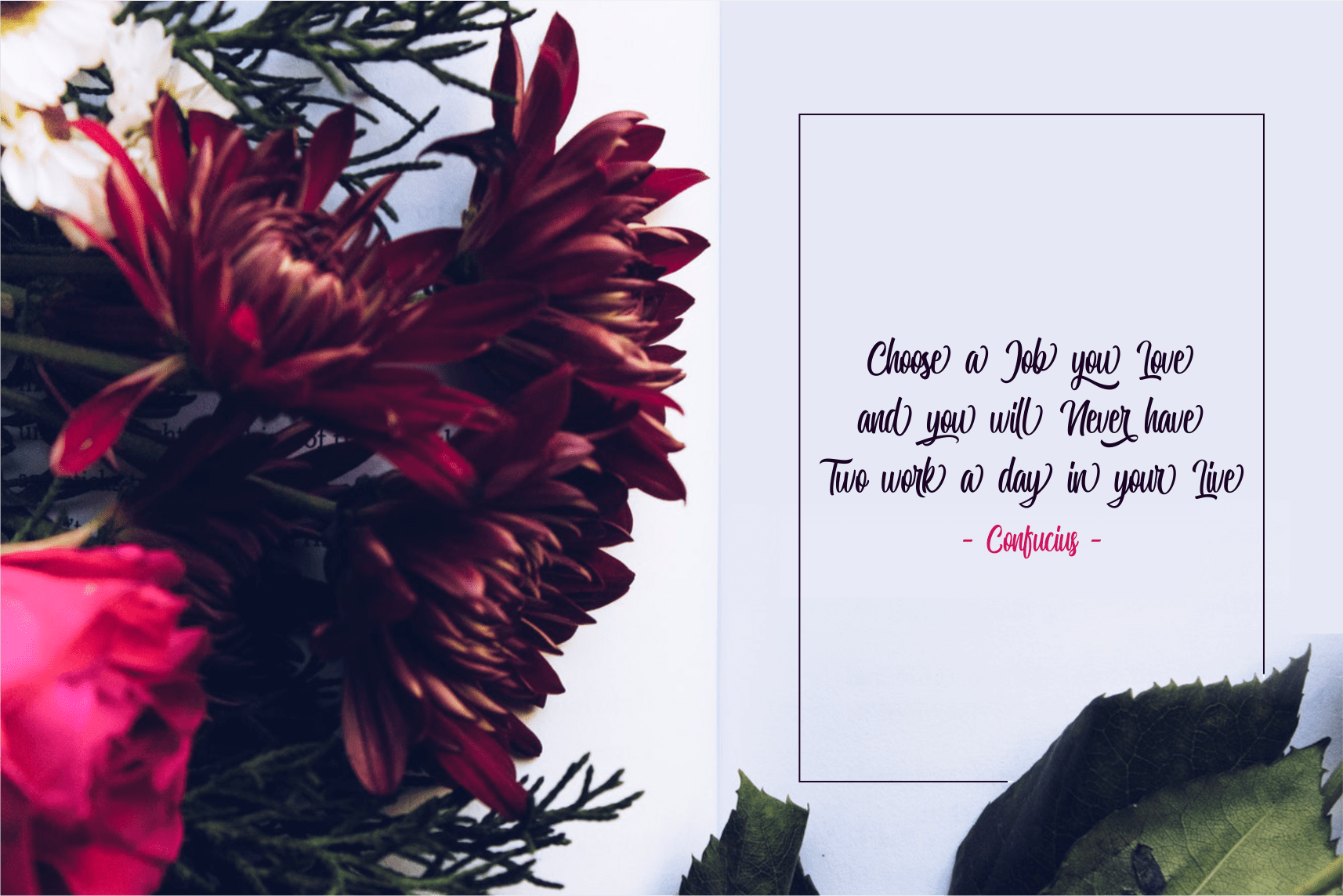 Miguela Script Font preview image 2