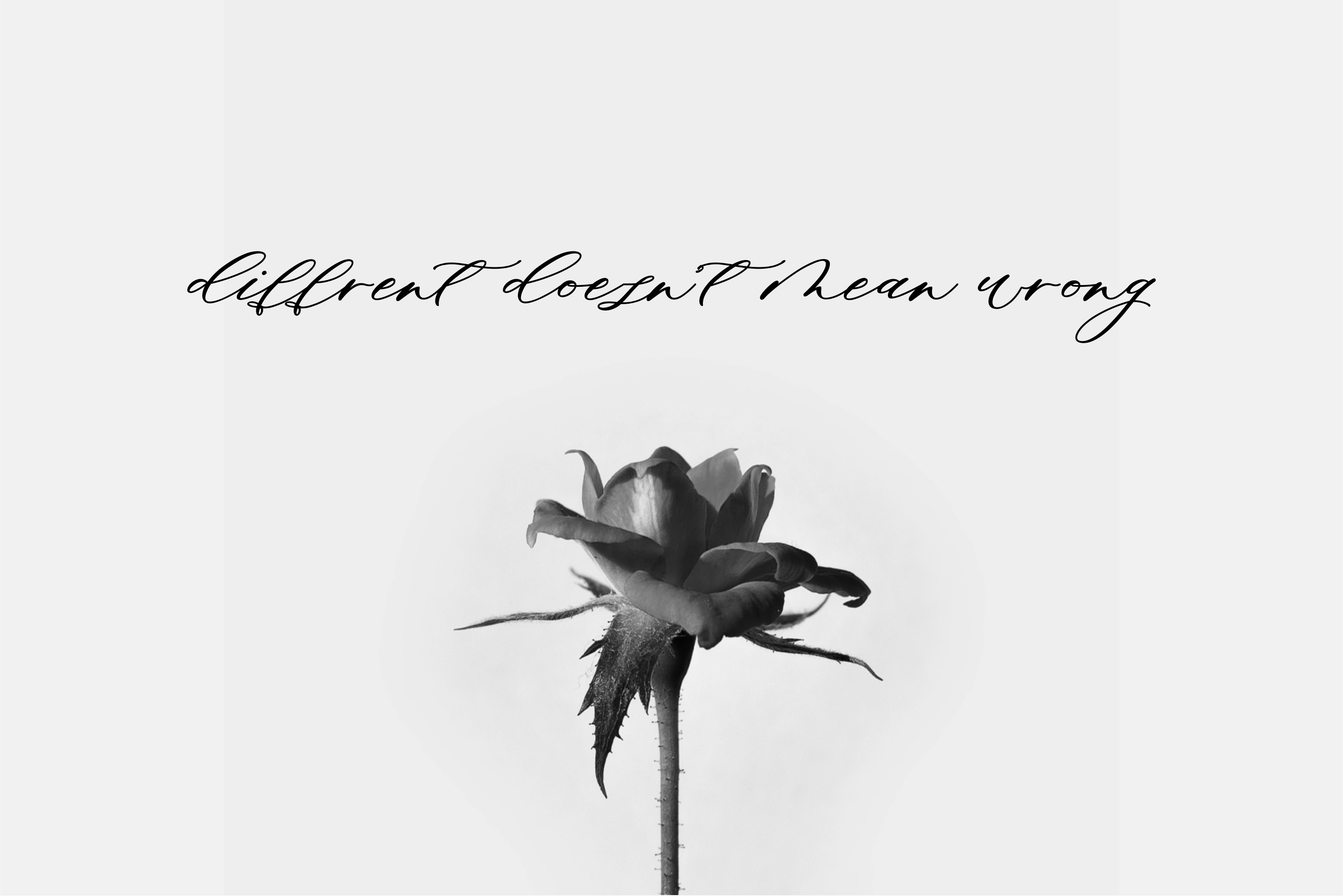 Minimalist Script preview image 2