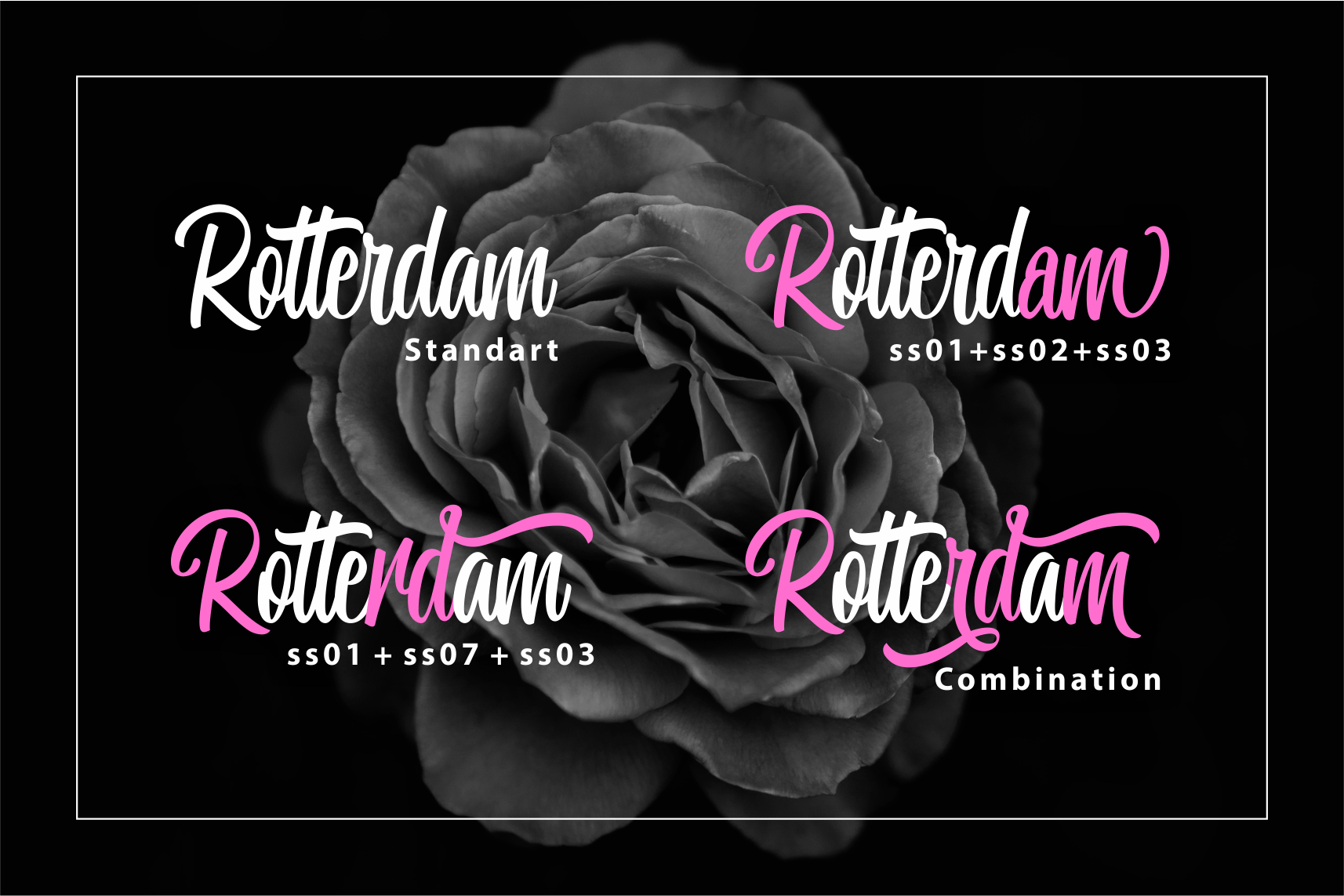 Miguela Script Font preview image 3
