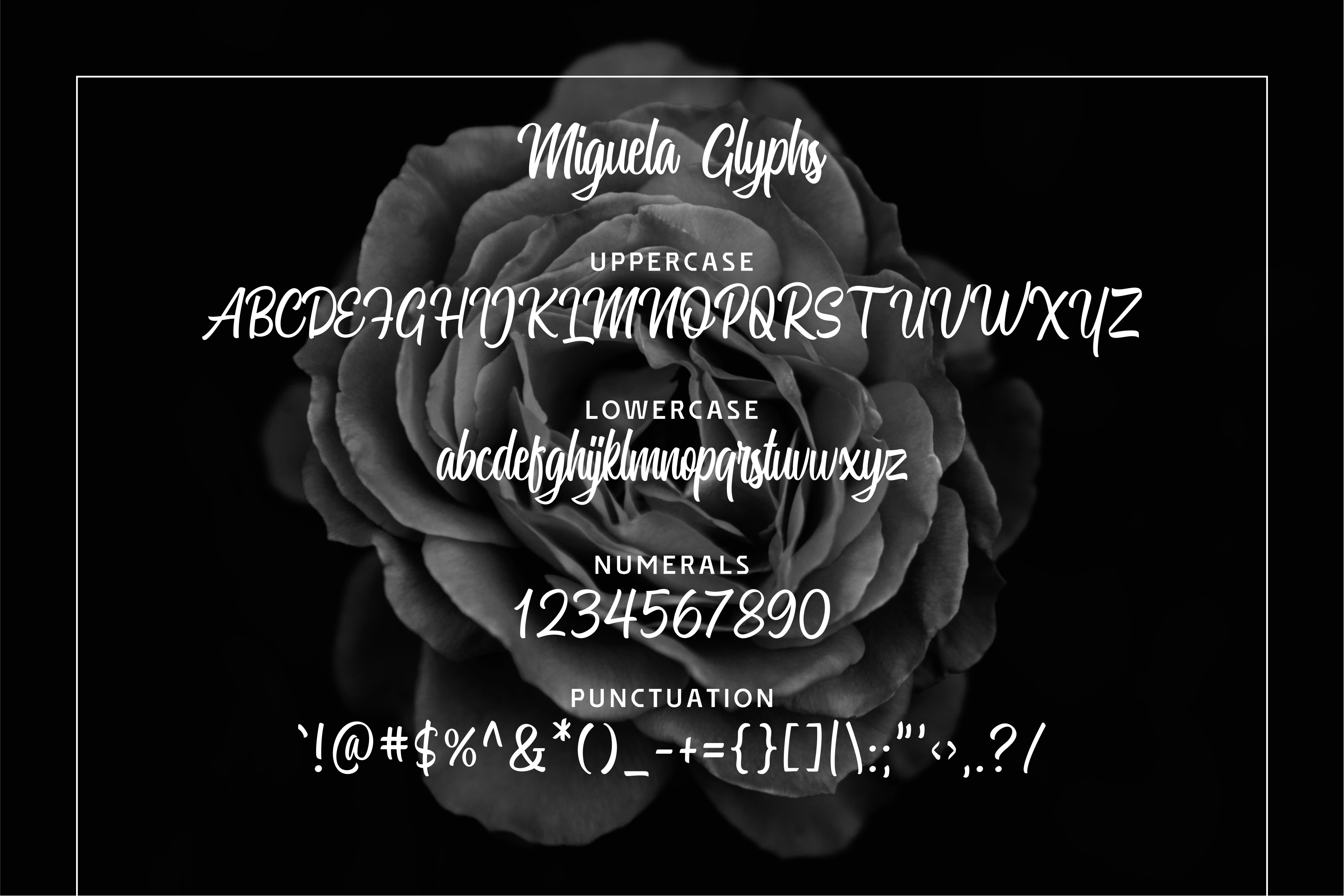 Miguela Script Font preview image 4