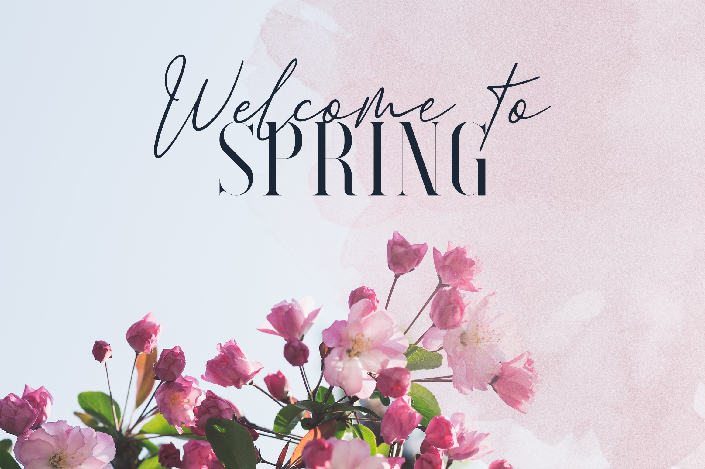 Searchlight Font Trio preview image 3