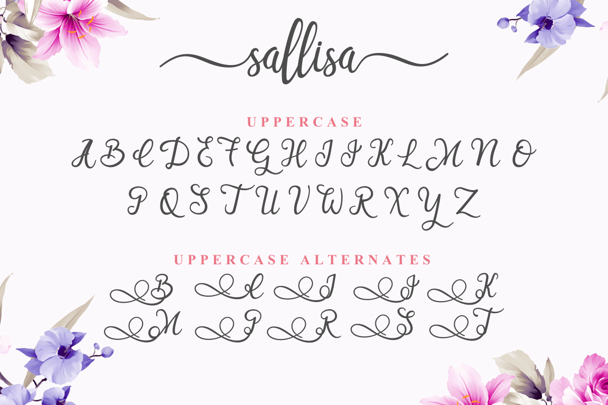Sallisa Script Font preview image 2