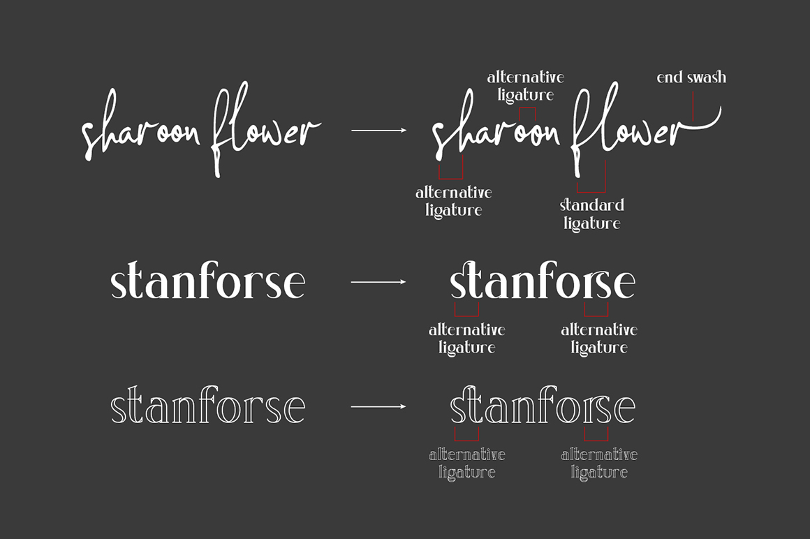 Concetta Kalvani Signature Font preview image 4