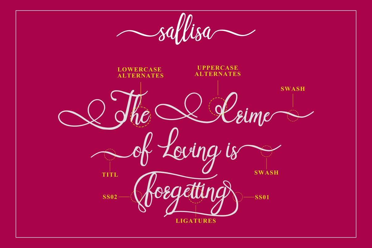 Sallisa Script Font preview image 5