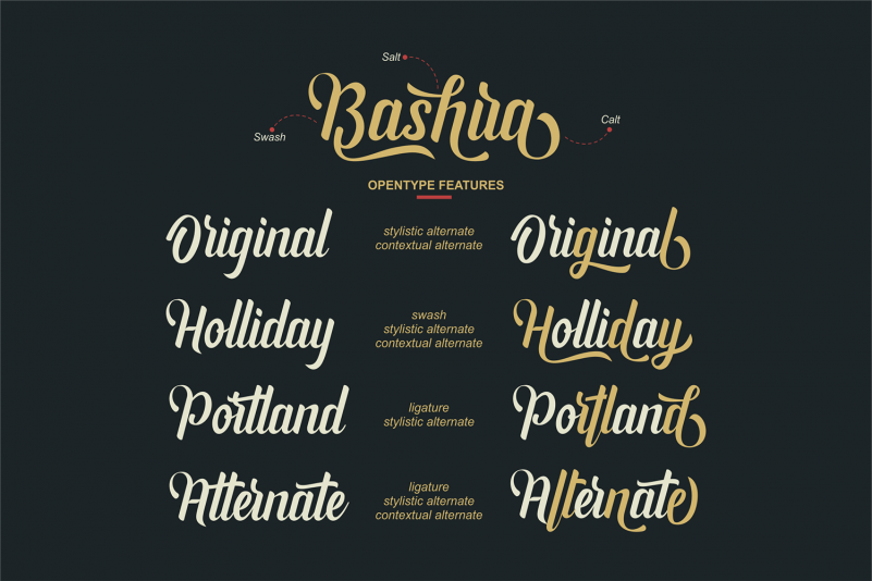 Bashira Script Font preview image 2