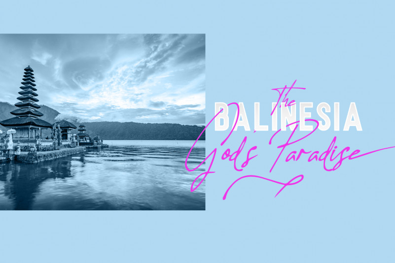 Allison Tessa Signature Font preview image 3