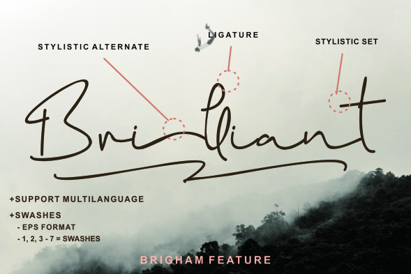 Brigham Signature Font preview image 3
