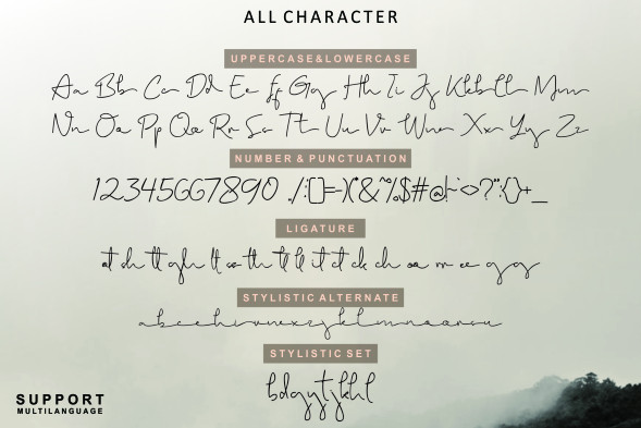 Brigham Signature Font preview image 4