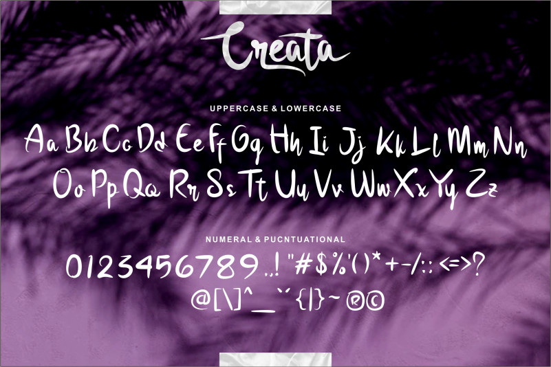 Creata Script Font preview image 3