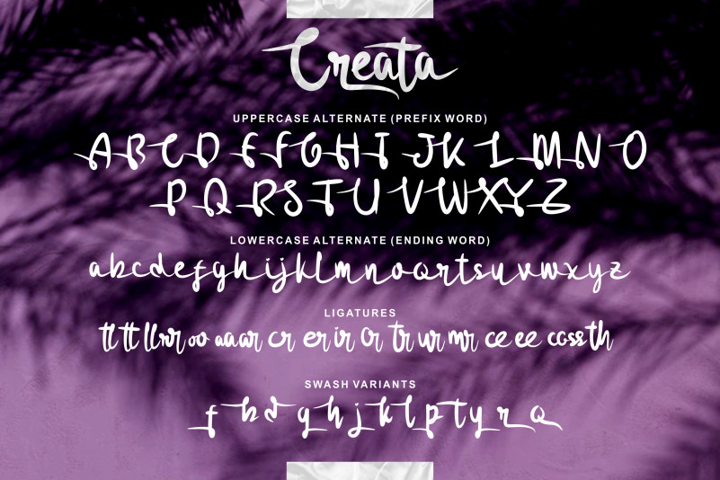 Creata Script Font preview image 4