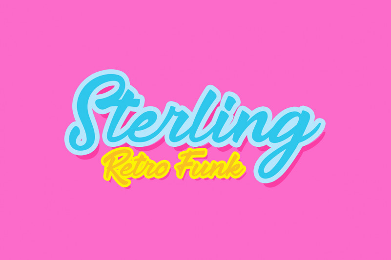 The Delicate Script Font preview image 2