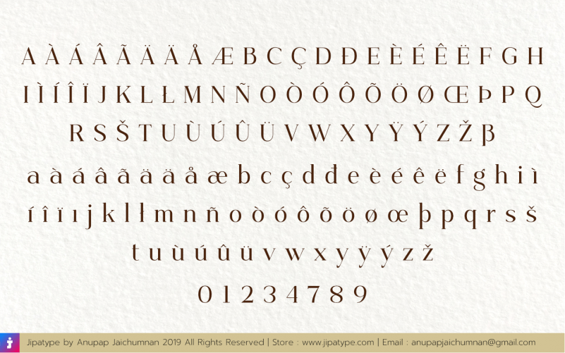 Priyati Serif Font preview image 4