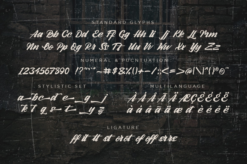 Arlen Script Font preview image 2