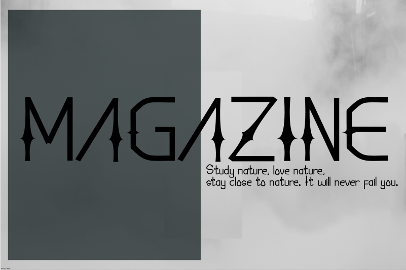 Dealova Font preview image 4