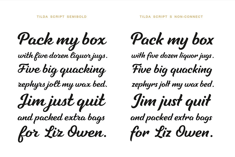 Tilda Script Font preview image 3