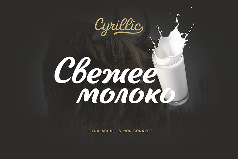 Tilda Script Font preview image 4