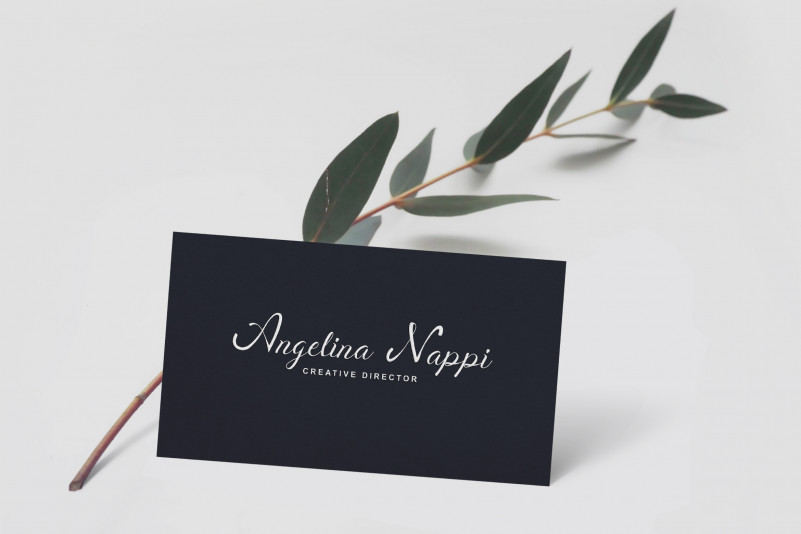 Berlyna – Modern Script Font preview image 4