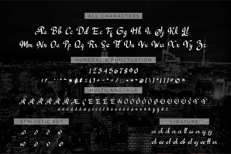 Los Angeles – Modern Script Font preview image 5