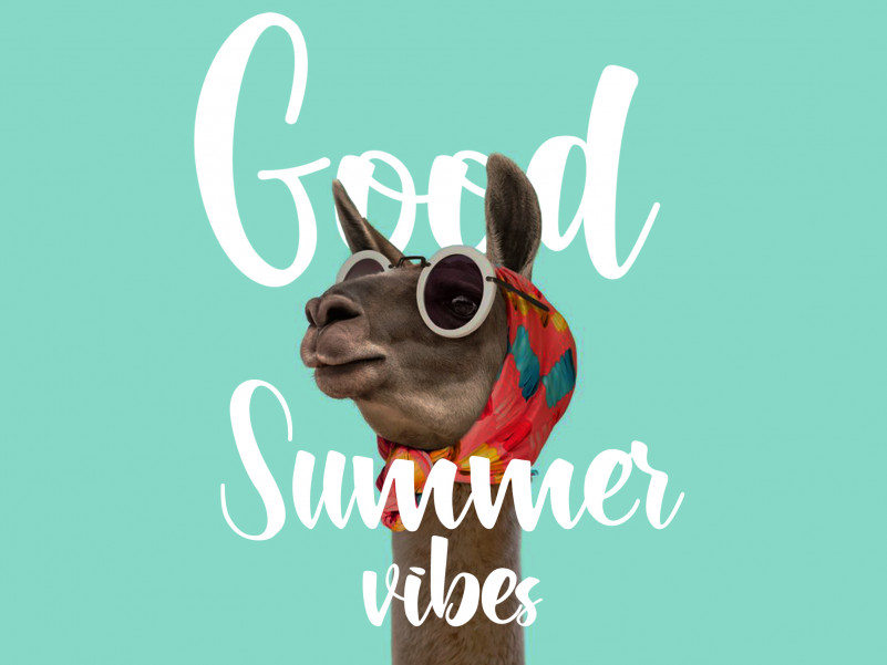 Lettyh Brush Font preview image 5
