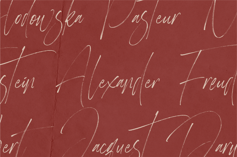 Heisenberg Signature Font preview image 2