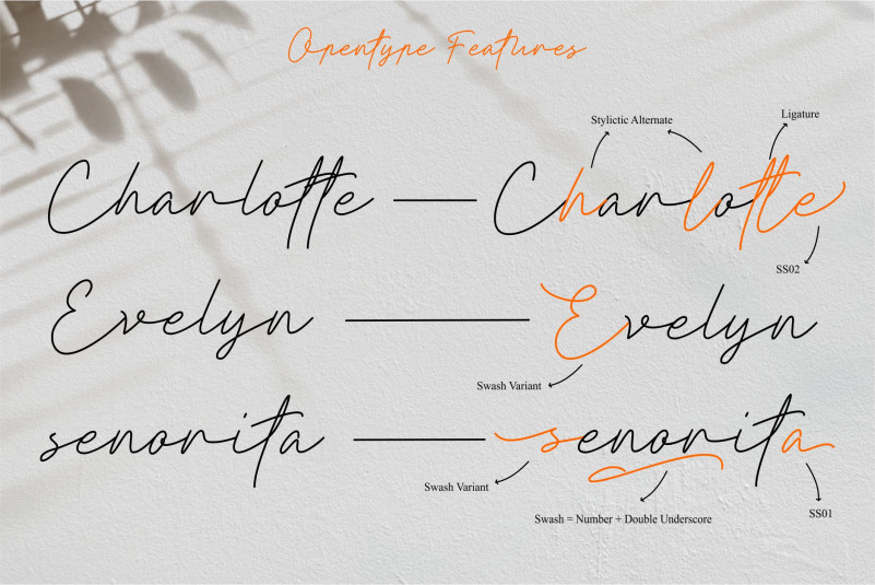 Clathyn Keith Signature Font preview image 3