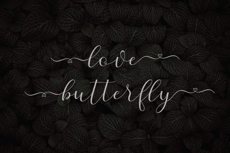 Alaycia Calligraphy Font preview image 2