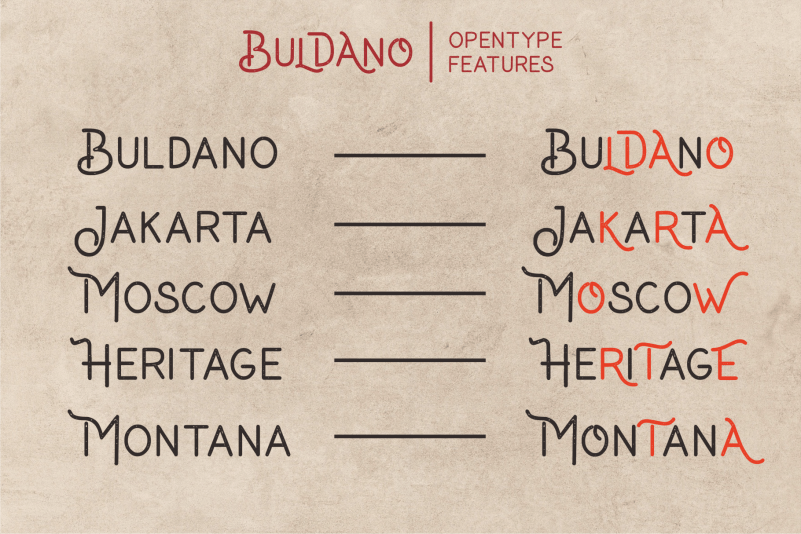 Buldano Stylish Sans Font preview image 5