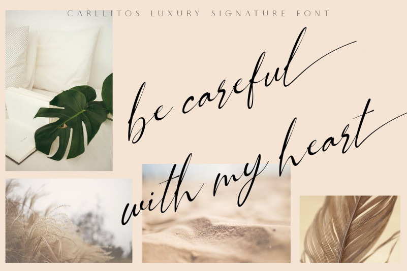 Carllitos Font