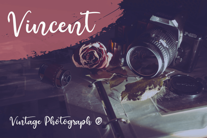 Raquen Script Font preview image 2