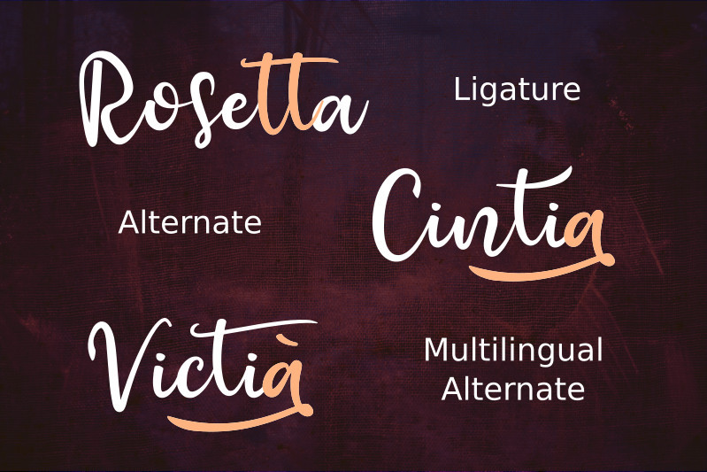 Raquen Script Font preview image 3