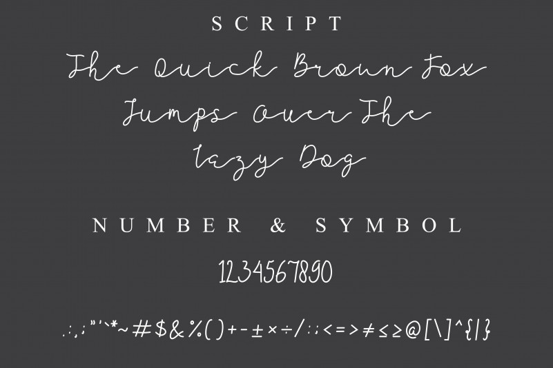 Jellita Handwritten Font preview image 3