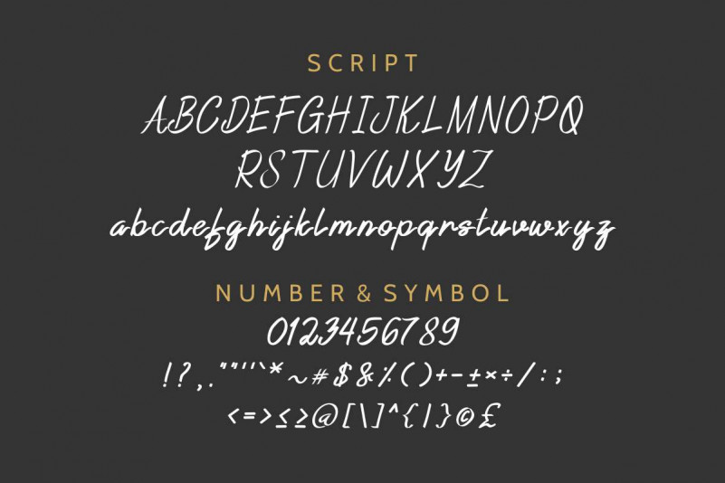 Reyburn Font Family preview image 5