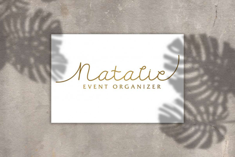 Carllis Script Font preview image 2
