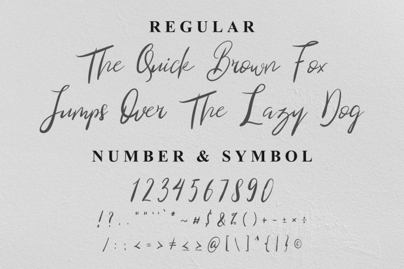 Blind Heart Script Font preview image 2