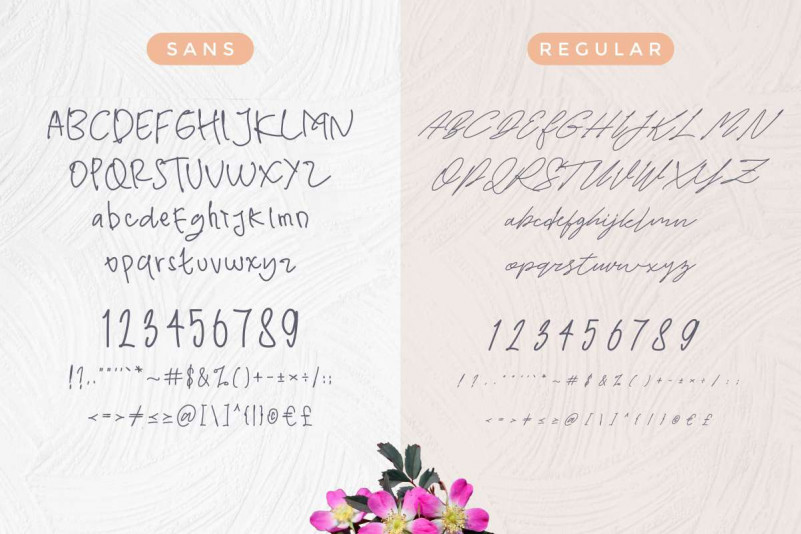 WhiteHoney Font Duo preview image 3