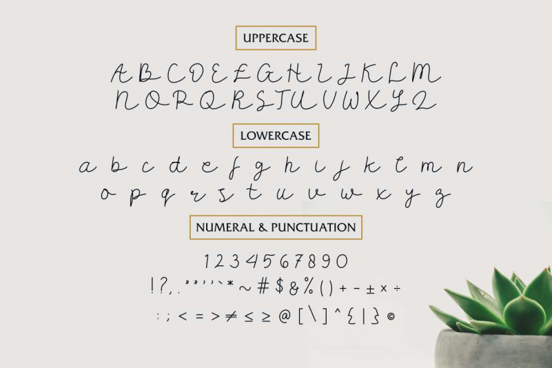 Carllis Script Font preview image 3