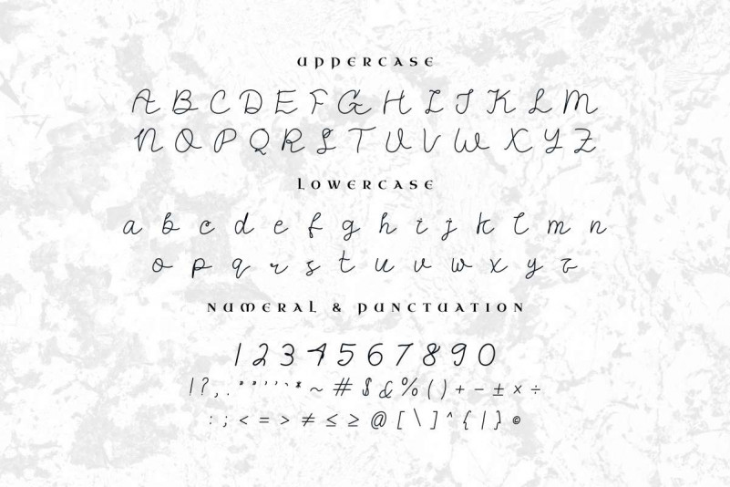 Mallisa Handwritten Font preview image 3