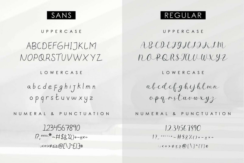 Sillmy Script Font Duo preview image 3