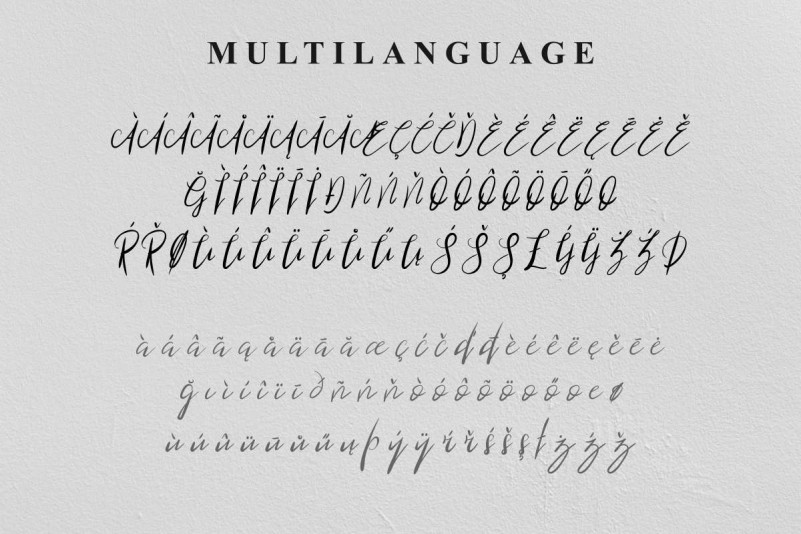 Blind Heart Script Font preview image 4