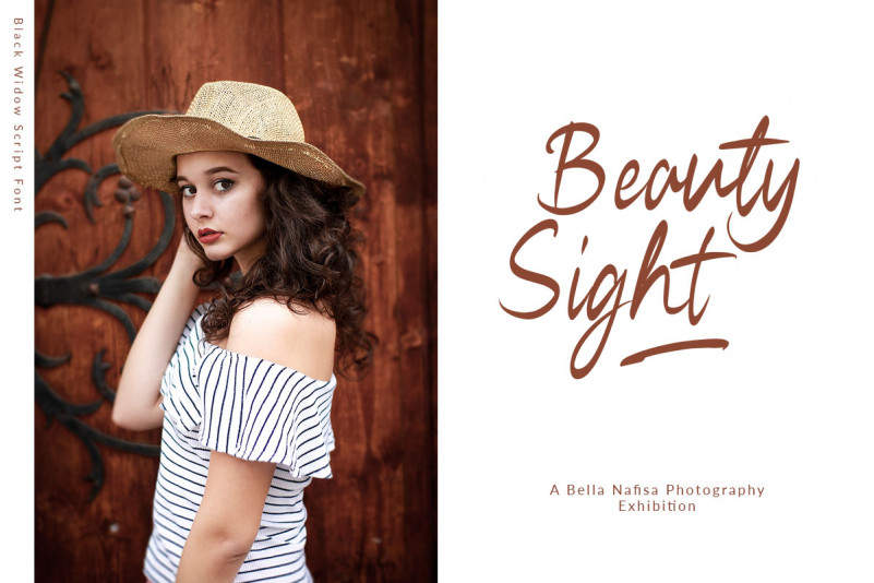 Free Black Widow Script Font preview image 2