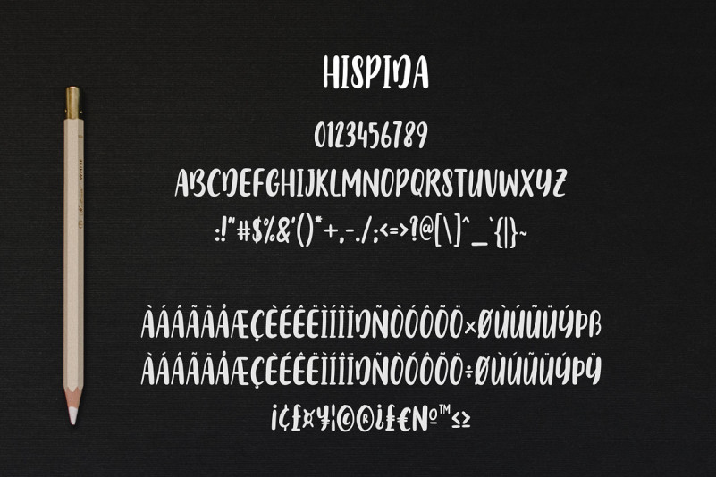 Hispida Script Font preview image 2