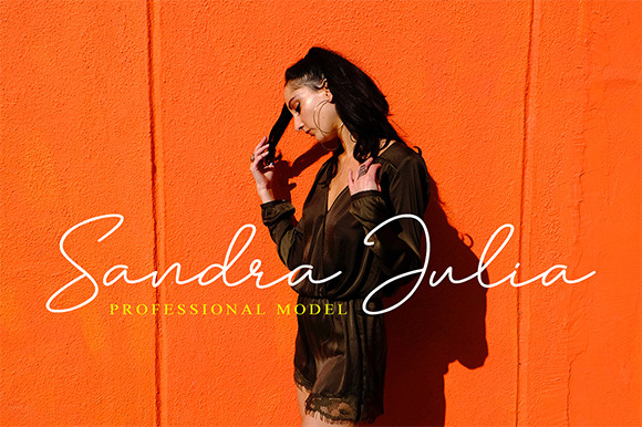 Andalusia Script Font preview image 2